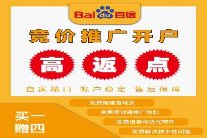 百度竞价广告与自然搜索排名的结合策略案例